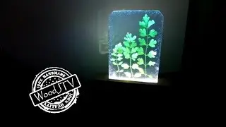 СУХОЦВЕТЫ В СМОЛЕ! Делаем оригинальный ночник!