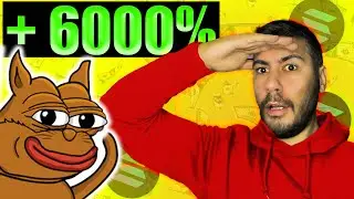 MEME COIN SOLANA SQUITTY potenziale 100X