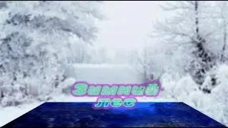 Winter 2017.  Зимняя сказка.  Времена года.  Зимний волшебный лес.