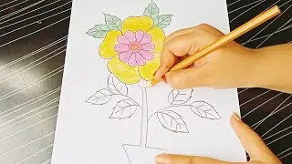 How To Draw A Colour Flower Drawing Video/Step By Step Drawing For Beginners - Farhana Drawing