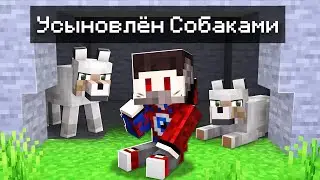 😱Фиксая Усыновили Собаки в Майнкрафт..