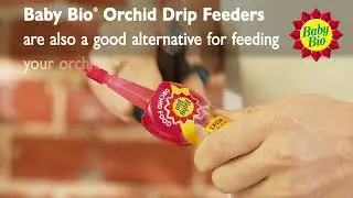 Baby Bio - Caring For Your Orchids