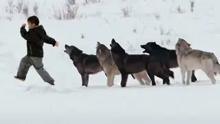 То что этот мальчик нашел в лесу ШОКИРОВАЛО всех! И Это Не Грибы...