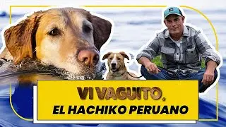 VI VAGUITO Y ESTA ES MI OPINIÓN...