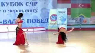 000132 11 A. Safonova, K. Silchenkova
