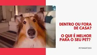 Dentro ou Fora de Casa? O que é melhor para o seu animal de estimação
