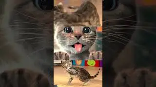MY LOVELY LITTLE KITTEN