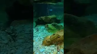 ЗАКОНИ ЖИТТЯ ЯКІ ТИ МАЄШ ЗНАТИ.