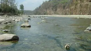 Akhilesh Dwivedi's Live broadcast