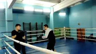 MOV 0010 mp4