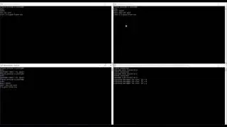 WinSock Chat Client Demo
