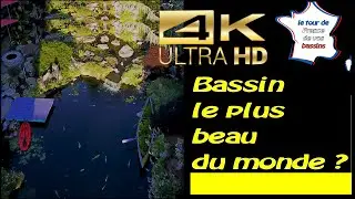 Bassin le plus beau du monde ? (Best koi pond in the world ?)
