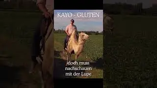 Kayo „Gluten“ jetzt draußen! 