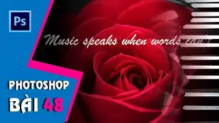 Học Photoshop CS6 I Bài 48:  Bài Tập Tổng Hợp