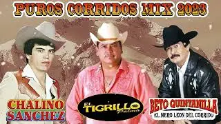 Las 30 Sus Mejores Éxitos Canciones de Beto Quintanilla - Chalino Sanchez vs El Tigrillo Palma