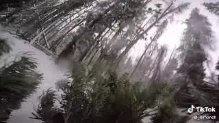 С новым годом!