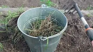 Полоть грядки - легко)