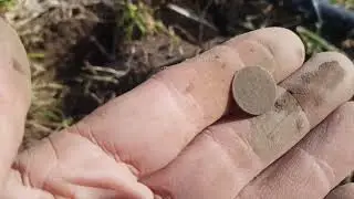 Весна 23 в полях