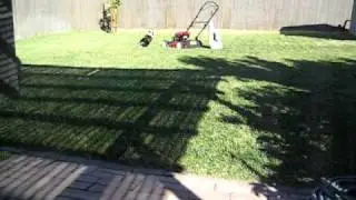 Buster playing fetch
