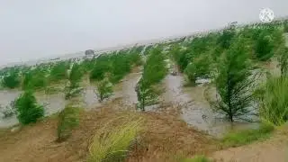 sea outbreak in the village of chamukh in cyclone time#salt water💧💦 attacks in forest// ss masti