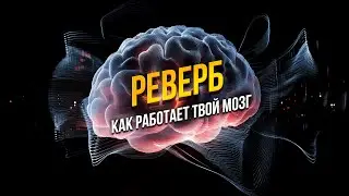 Реверб, или как твой мозг ориентируется на звук