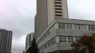 Лубок в Измайлово