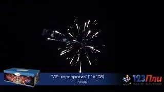 PLI1087 вип корпоратив