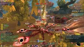 1vs10+