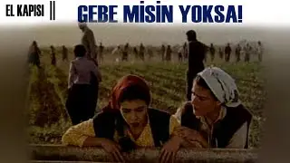 El Kapıları Türk Filmi | Elif Hamile Kalıyor!