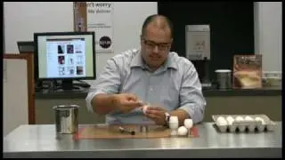 Egg Topper