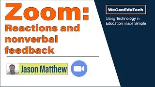 How to use reactions, virtual backgrounds and video filters in Zoom