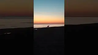 Gün doğumunu birlikte izledik.. #dogs