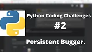 Python Coding Challenge #2: Persistent Bugger