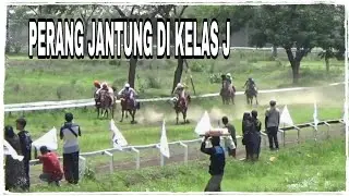 PACUAN KUDA PIALA MAS ANAM || Race II-IV
