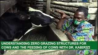 UNDERSTANDING ZERO GRAZING STRUCTURES FOR COWS AND THE FEEDING OF COWS#farming #viral #viralvideo