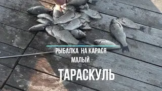 Тараскуль рыбалка и лечение .
