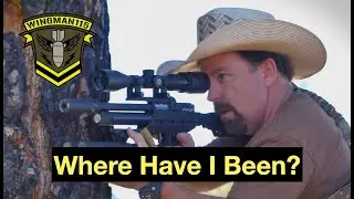 Where Have I Been?  -  Wingman115 Channel Update