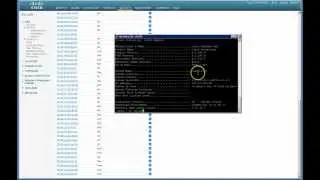 Cisco 4400 Wireless Controller Not Showing All Disabled Clients on the Web Interface