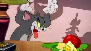 Tom et Jerry En Francais Episode Complet 2016 - Tom et Jerry Robin Des Bois En Francais Le Film