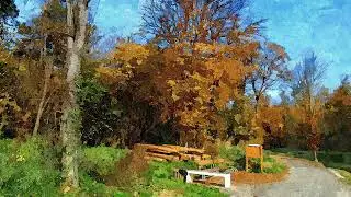 Ne moraju baš sve jeseni biti tužne (Not all autumns can be sad either)
