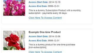 Responsive My Content Page & Shortcode Generator - Digital Access Pass