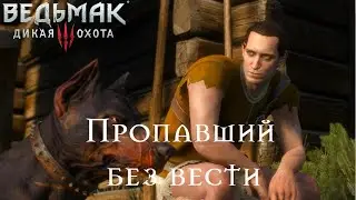 Ведьмак 3. Пропавший без вести
