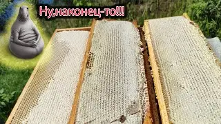 Первый МЁД 2021. 
