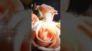 С днём рождения в августе! #красивоепоздравление #сднемрожденияженщине #shortvideo