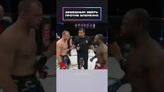 Бешеный зверь против Шлеменко