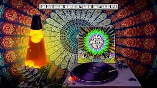 The Jimi Hendrix Experience - Purple Haze - Tezla Rmx