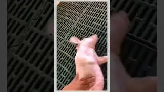 BANGUN KAU BAB-I 🤣🤣#shorts #shortvideo #viralshorts #fyp