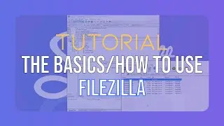 Snakecraft Hosting | The Basics/How to Use Filezilla
