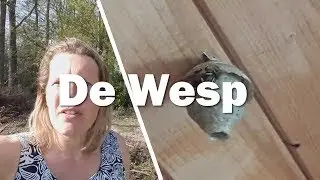 De Wesp