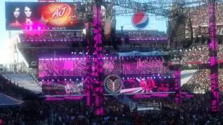 Wrestlemania 31 Divas Live Entrance